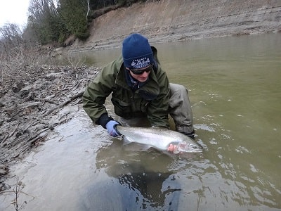 Spring Steelhead Fishing: Tips And Tactics From The Guides