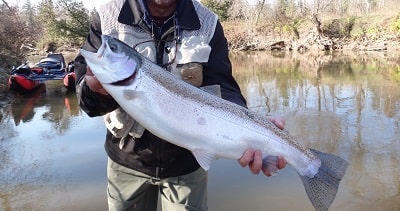 Chagrin River Steelhead Fishing: Maps, Methods, and More