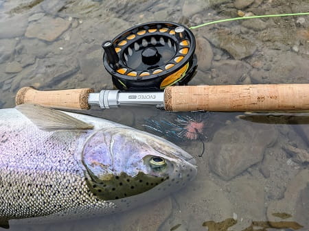 A nice Ohio Steelhead caught on the swing