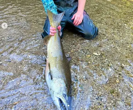 Salmon on a bead. Image provided by SBS Outdoor Action