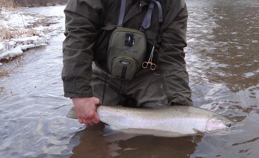 Canadaway Creek Steelhead Fishing