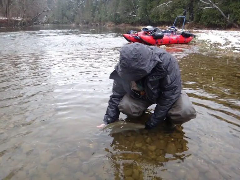 12 Best New York Steelhead Rivers Methods, Reports, And More