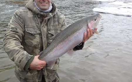 Ohio Winter steelhead Fishing