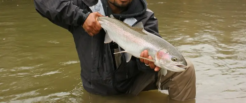 Spring Steelhead Fishing Ohio