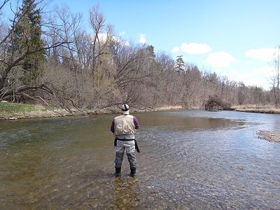Steelhead Alley Fishing: Tactics And Tips From Guides