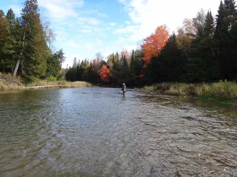 An angler float fishing