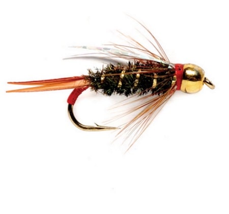 A close up of the fly called the Formerly know as the prince