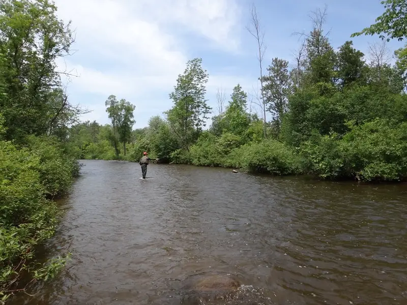 Late Summer Trout Fishing In Rivers   