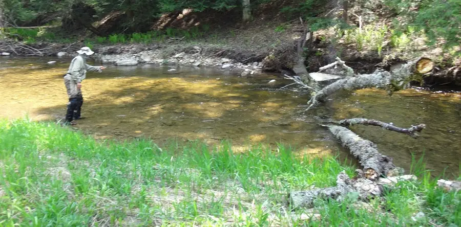 Summer Steelhead Fishing Ohio