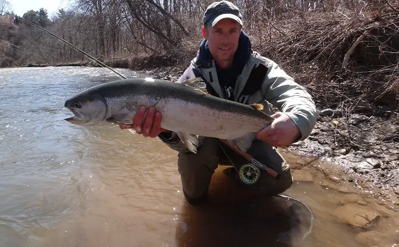 Steelhead Alley Ohio