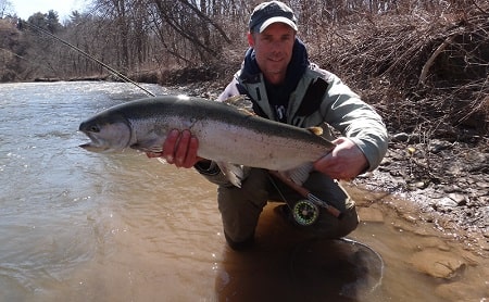 Steelhead Alley Ohio: Best Rivers and Most Effective Methods