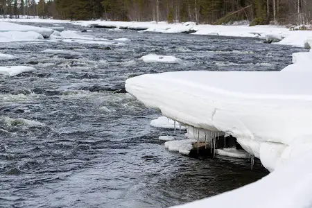 Winter Steelhead Fishing Pennsylvania