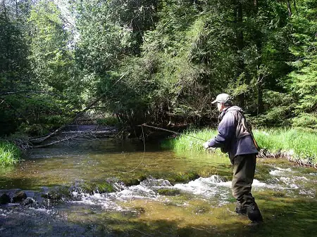 Brook Trout Fishing In Rivers: Guide Tips and Tricks