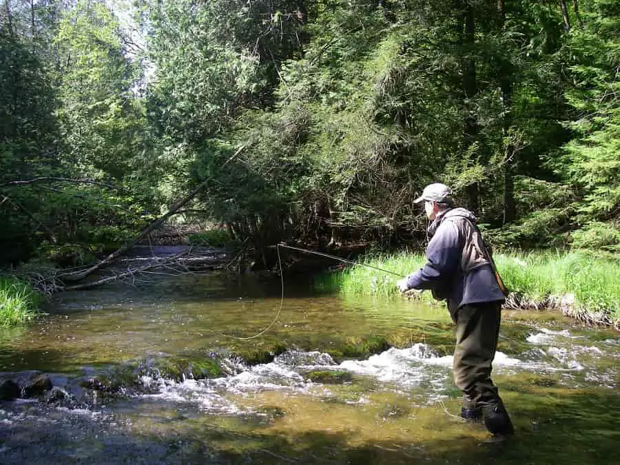 An angler brook trout fishing in the headwaters of a major steelhead river.