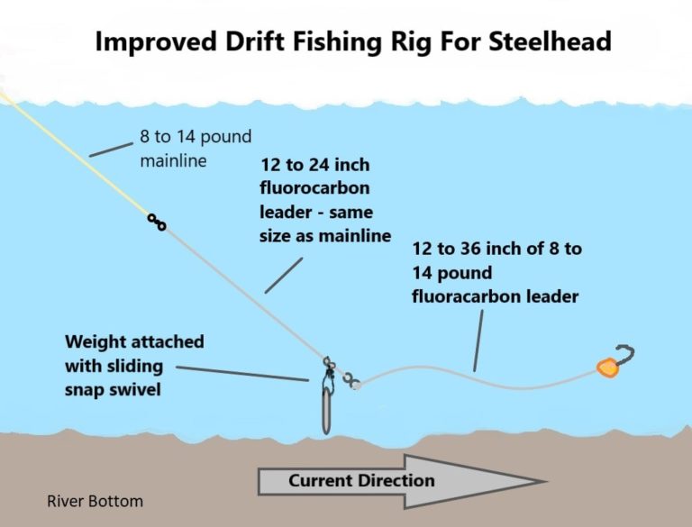 5 Best Steelhead Fishing Rigs That Guide Use