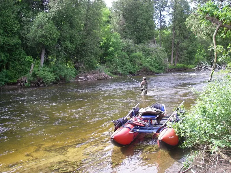 Best time to fish trout in summer