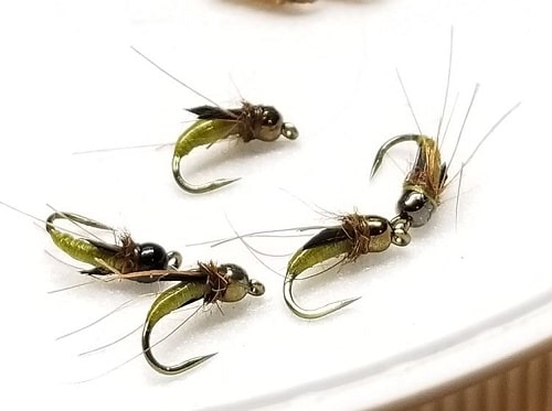 My Personal caddis Pupae pattern is a great trout fly.