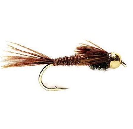 The Pheasant Tail Nymph is one of the best trout flies