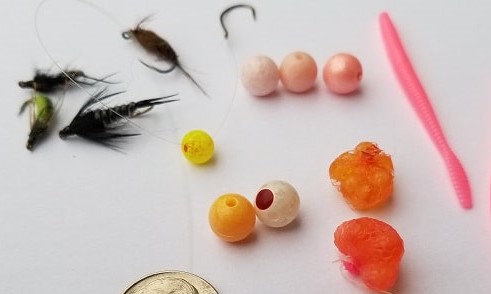 Rainbow trout baits