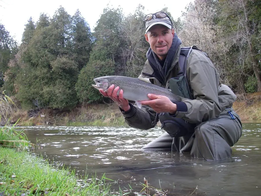 A steelhead caught using one of the Best baits for Pennsylvania steelhead