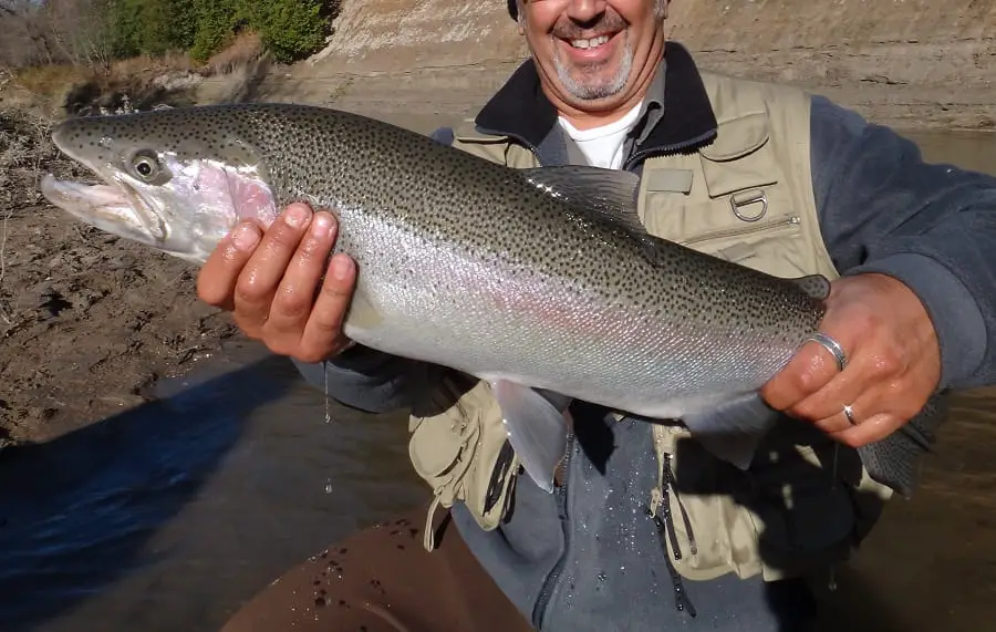 Steelhead Fishing PA