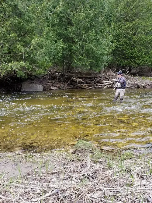 An Angler Steelhead Fishing a PA Rivers