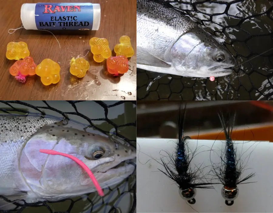 Best Bait For NY steelhead