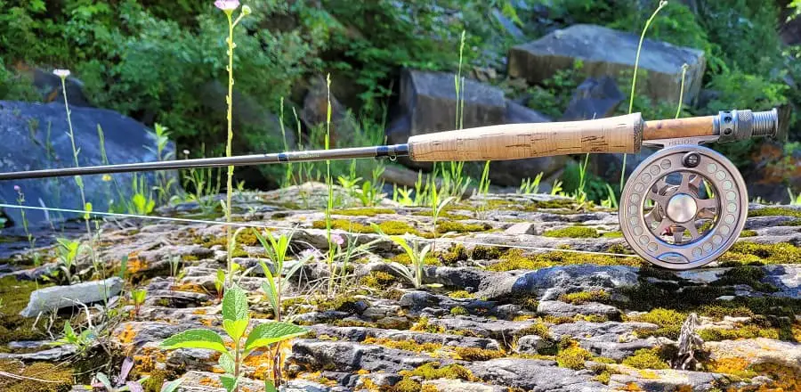 what-weight-fly-rod-for-trout-what-the-guides-recommend