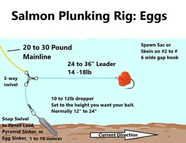 Salmon Fishing With Eggs: Guide Tips - Trout Steelhead And Salmon