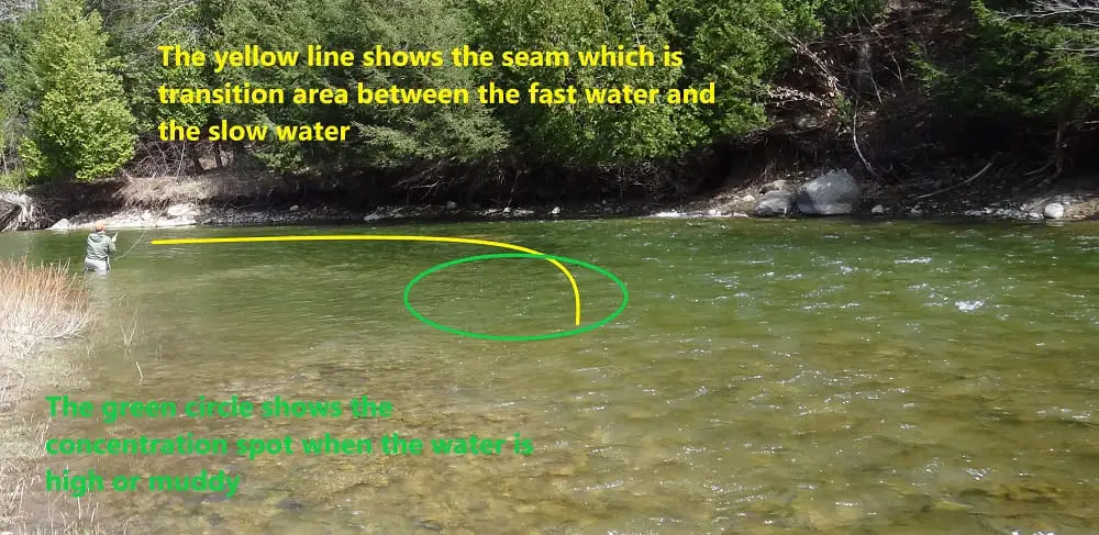 Shows concentration spots and seams in a river