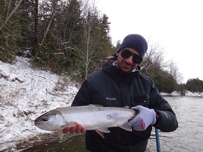 Steelhead Fishing Paused Due to High Water