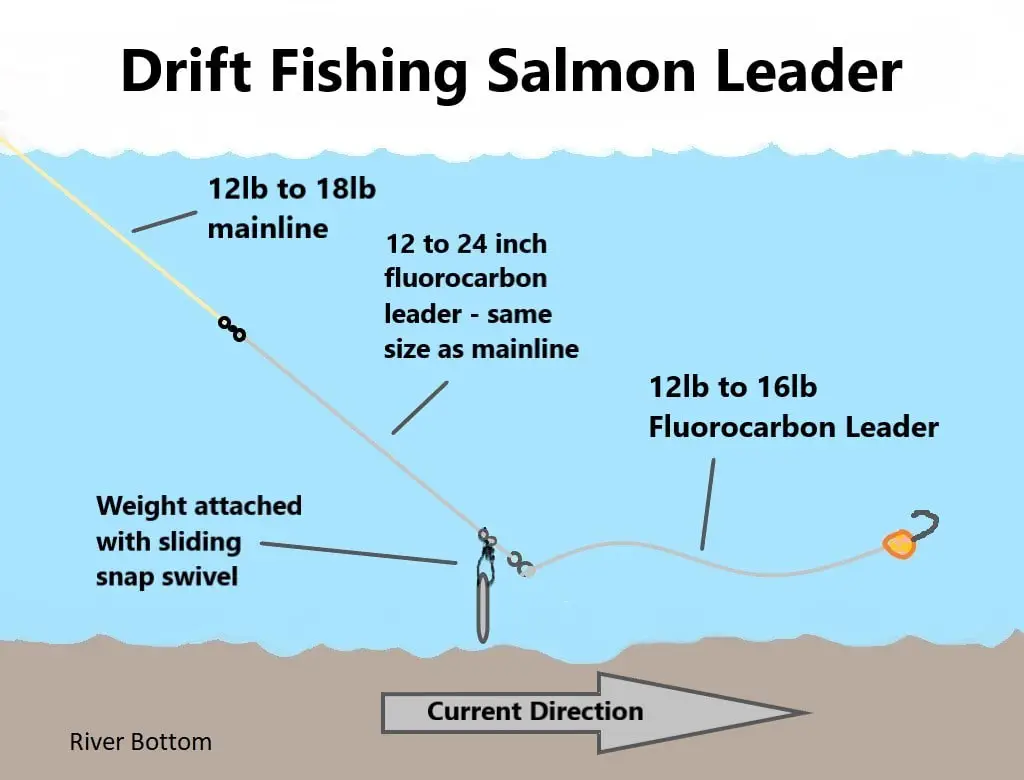 10 Best Salmon Leaders And Setups For Multiple Methods