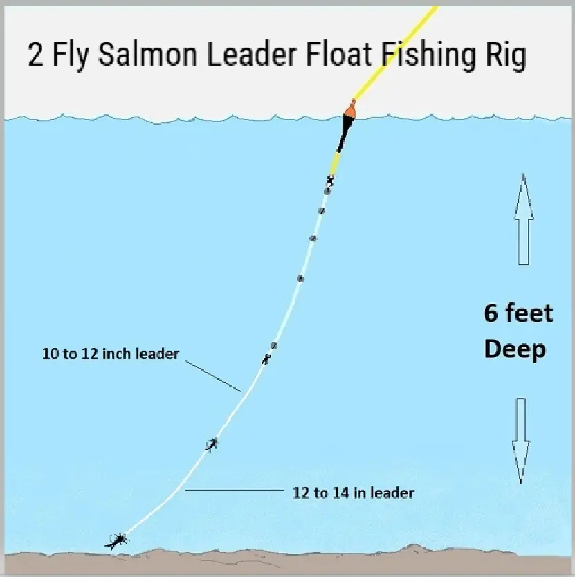 Salmon leaders rig for 2 flies