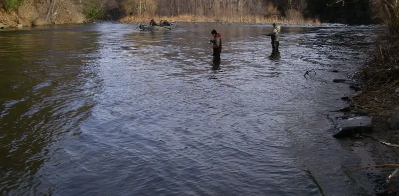 Anglers centerpin fishing for salmon on the salmon river NY