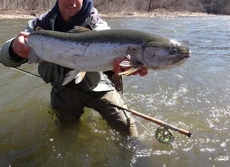 11 Best Spey Rods For Steelhead: Recommended By Guides