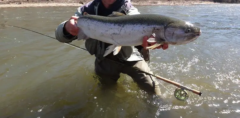 Spey Rod Steelhead