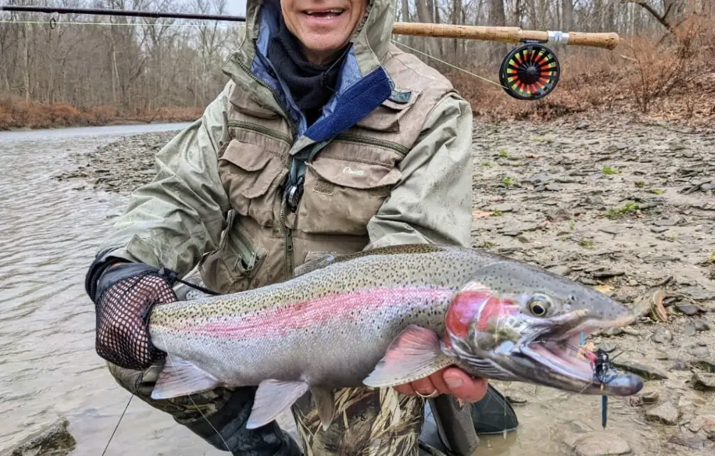 A steelhead caught spey fishing with Spey flies for Great Lakes steelhead.