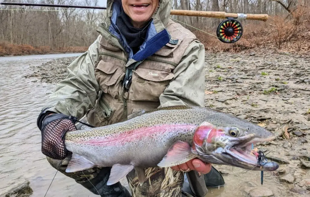 A steelhead caught spey fishing