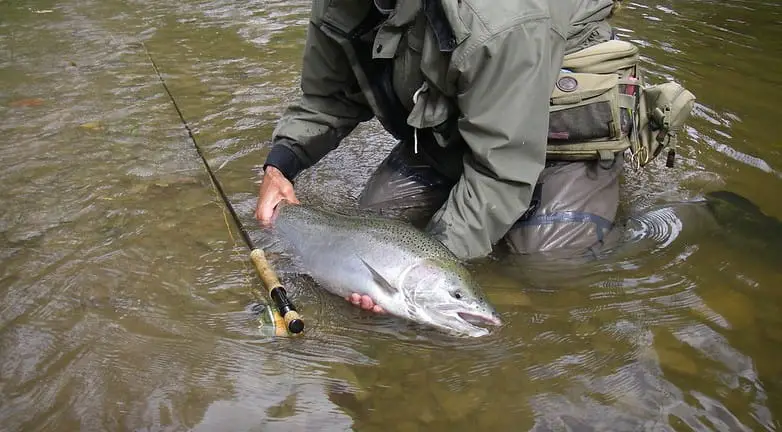 Fall Spey fishing for steelhead