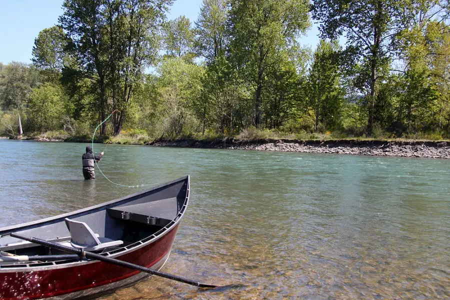 An angler Spey casting