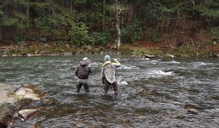 5 Guide Tips For Fly Fishing For Steelhead In Erie PA