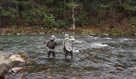 Erie PA Fly fishing For Steelhead