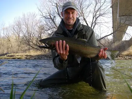 Jig Fishing For Steelhead: Best Methods Used By River Guides