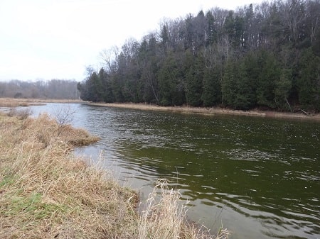 Jig fishing for steelhead in slow to medium fast current like this is best with twitching jigs.