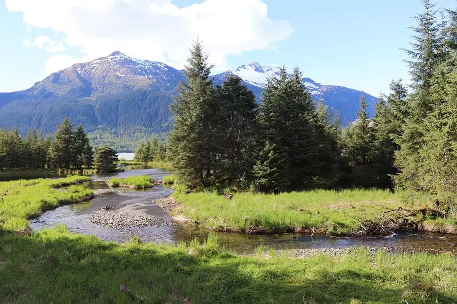 Alaska Fly fishing means small streams full of trout.