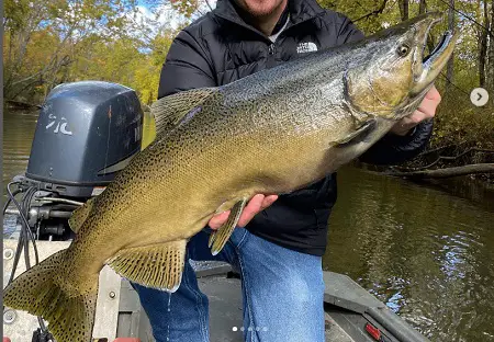 A nice Michigan salmon caught by Alex from Fire Plug Charters