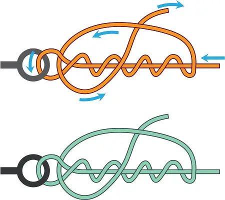 The Improved Clinch Knot is one of the most popular fly fishing knots for beginners.
