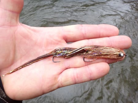 A copper flash streamer fly