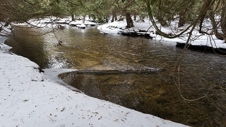 The headwaters of a PA steelhead river