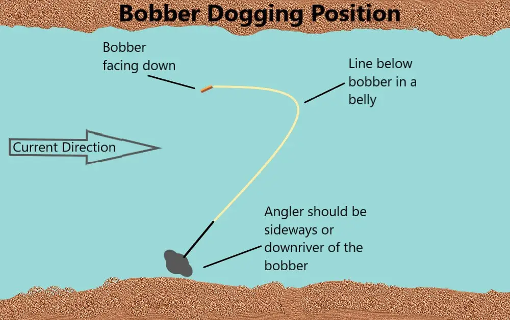 Bobber doggin diagram